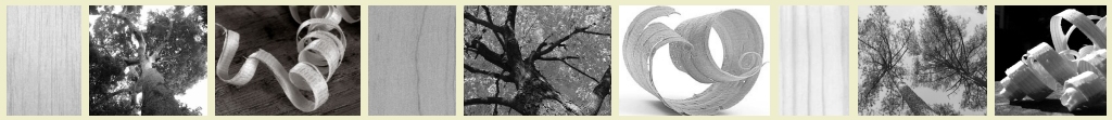 Top_banner